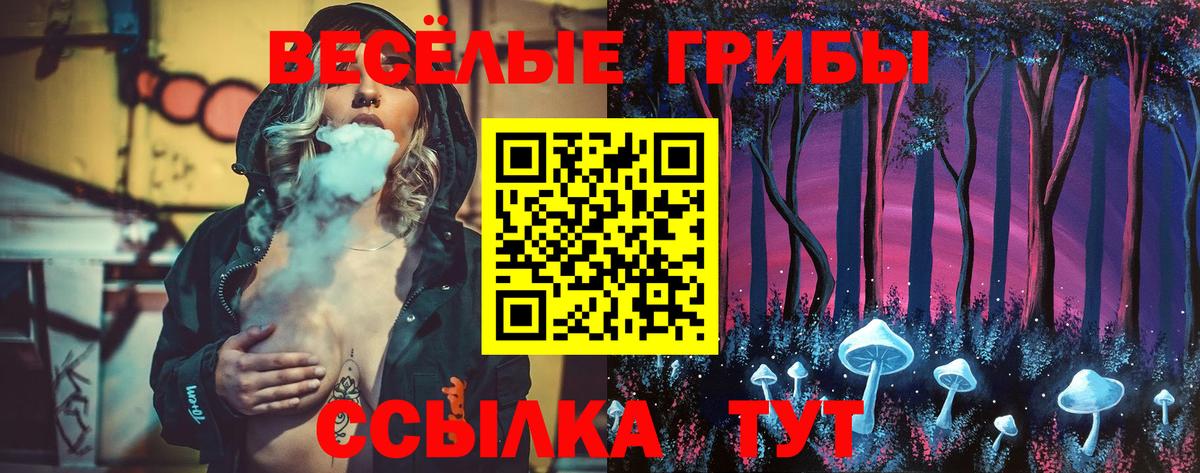 Курган  Псилоцибиновые грибы Magic Shrooms  Вход с VPN  Галлюциногенные грибы Psilocybine cubensis 