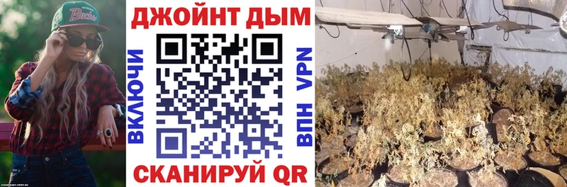 наркошоп Курган Шишки марихуана гибрид