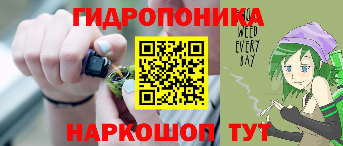 Бошки марихуана Bruce Banner  Вход с VPN  Курган  МАРИХУАНА Bruce Banner 